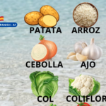 Vocabulario